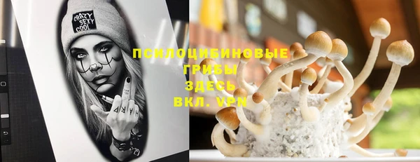скорость Алексеевка