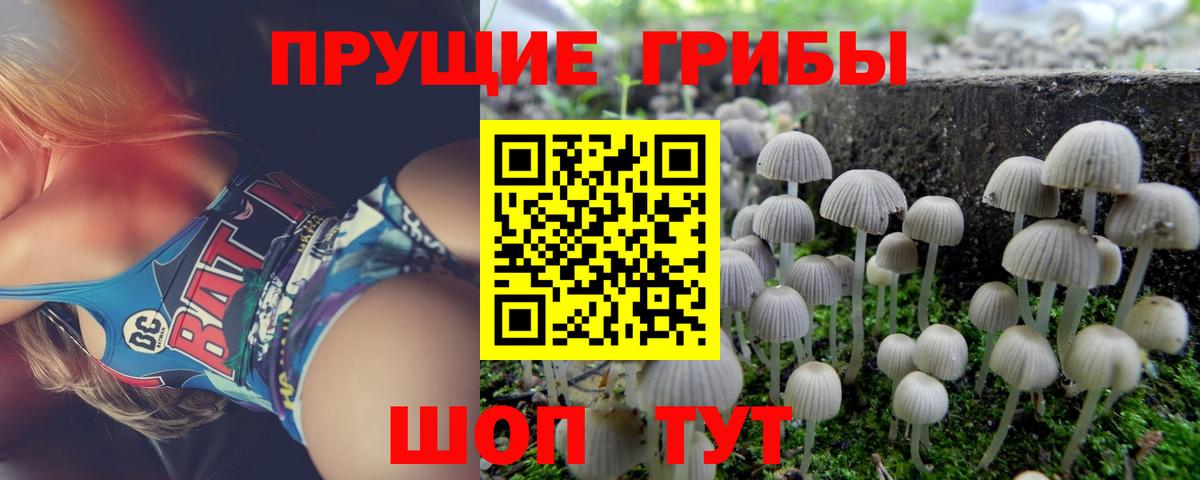 Псилоцибиновые грибы ЛСД  Псилоцибиновые грибы мухоморы  Вход с VPN  Глазов 